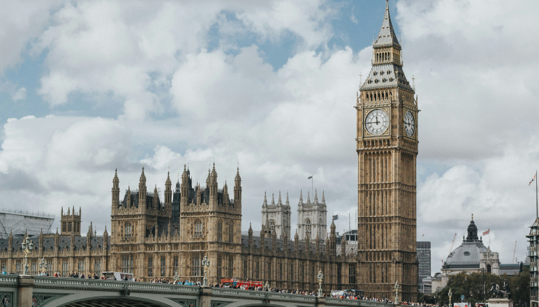 Process managed by travel document experts