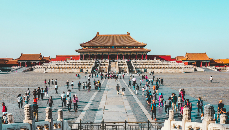 Process managed by travel document experts