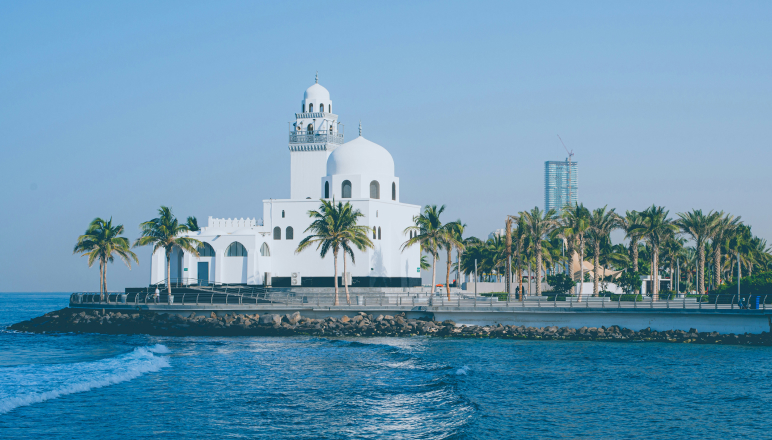 Process managed by travel document experts